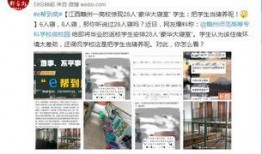 赣州高校爆料案件最新情况,真相逐步浮出水面